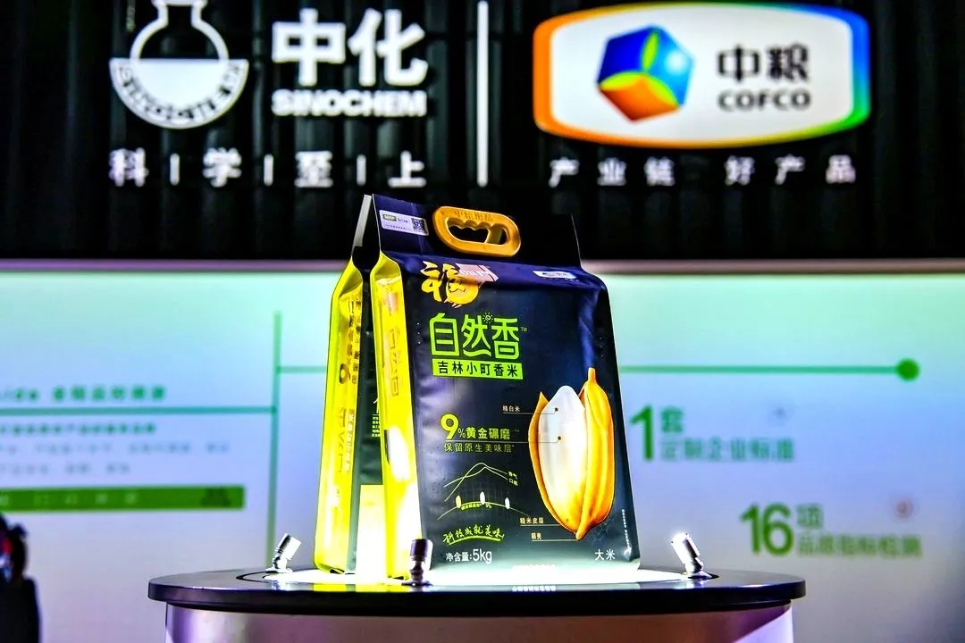 摩登4-妄想照进现实,致力成就将来!