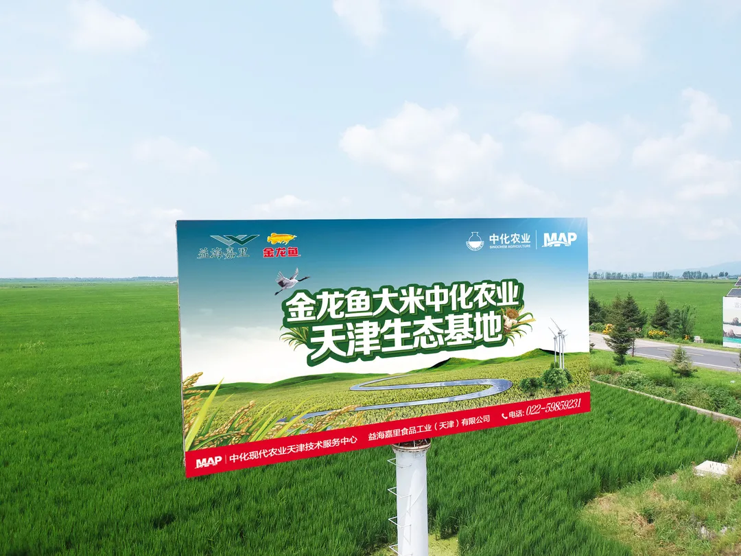 摩登4-妄想照进现实,致力成就将来!