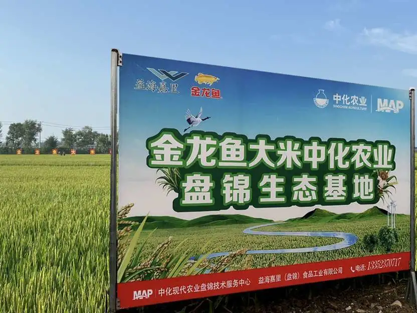 摩登4-妄想照进现实,致力成就将来!