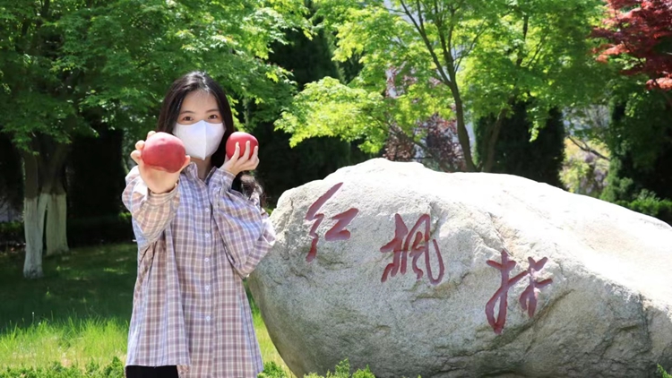 摩登4-妄想照进现实,致力成就将来!
