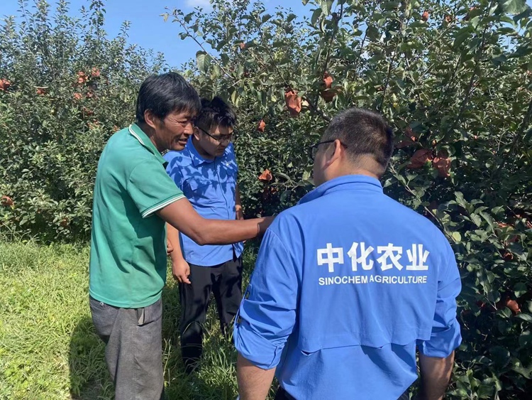摩登4-妄想照进现实,致力成就将来!