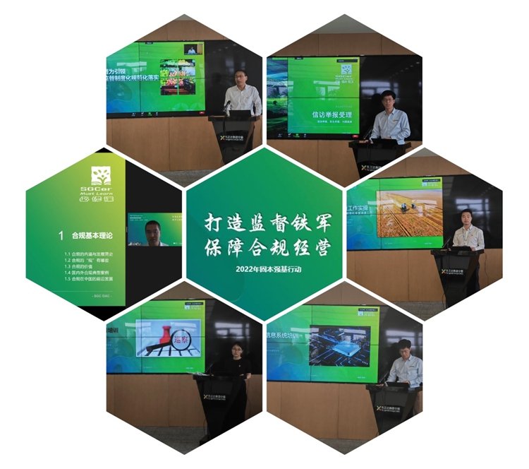摩登4-妄想照进现实,致力成就将来!