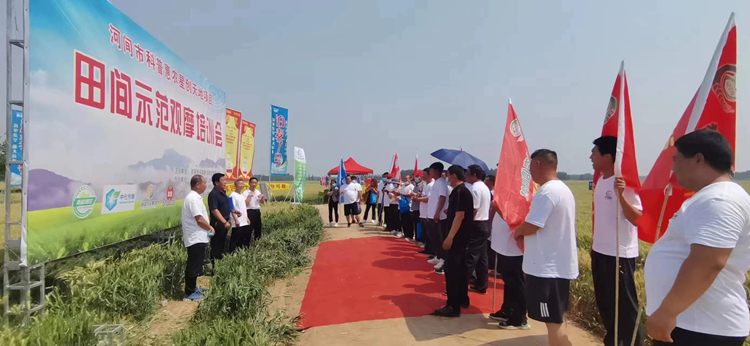 摩登4-妄想照进现实,致力成就将来!