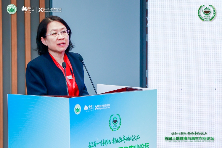 张俊伶 摩登4-妄想照进现实,致力成就将来!