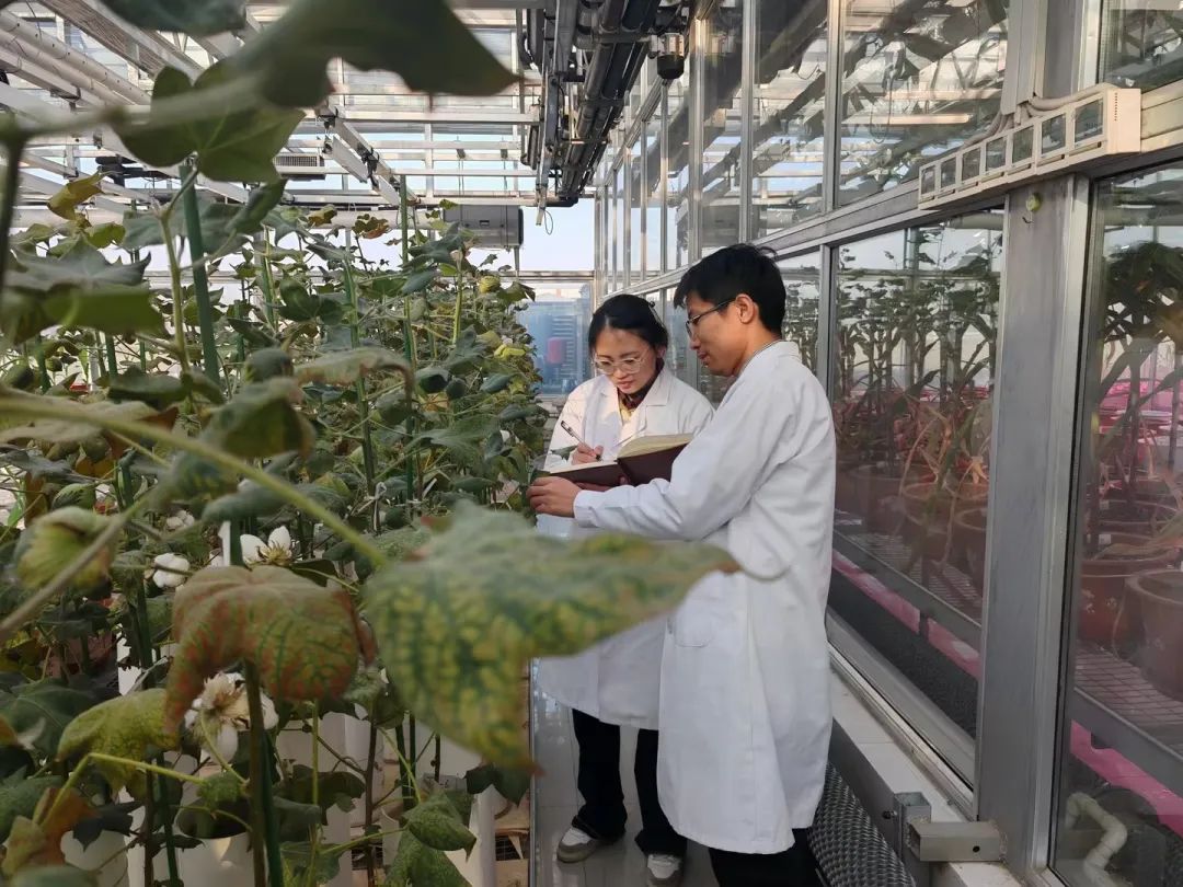 摩登4-妄想照进现实,致力成就将来!