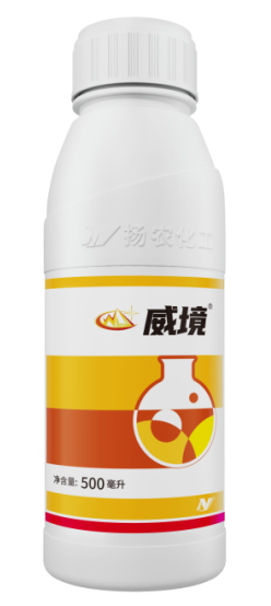 【官微SGC】春耕新品终稿353 摩登4-妄想照进现实,致力成就将来!